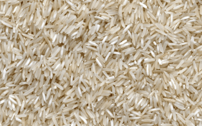 Everything You Need to Know About Food Cloud Colour Sorter